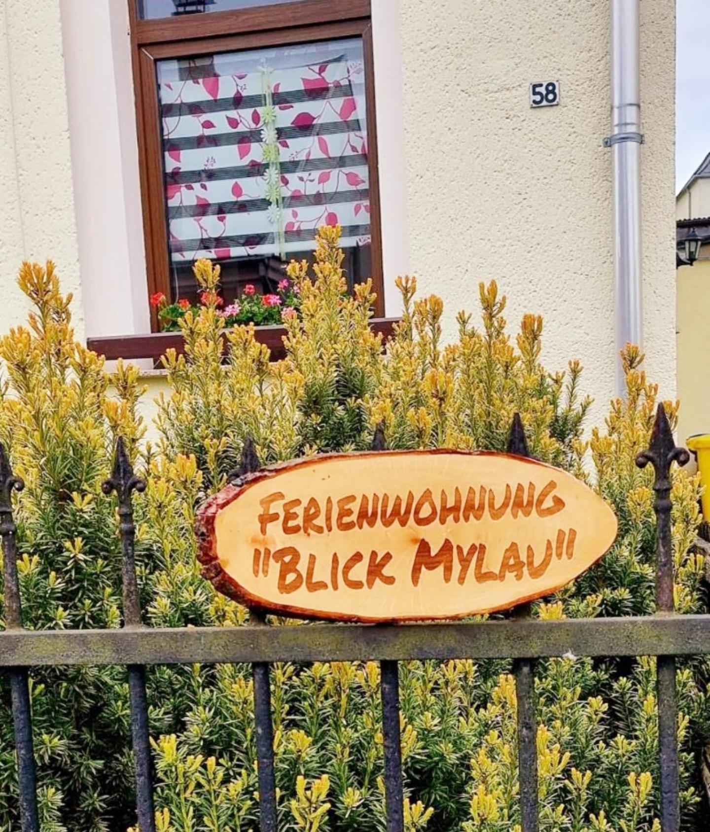 Ferienwohnung "Blick Mylau" - Naehe Freizeitpark Plohn & Weltgroesster Ziegelsteinbruecke Reichenbach im Vogtland Zewnętrze zdjęcie