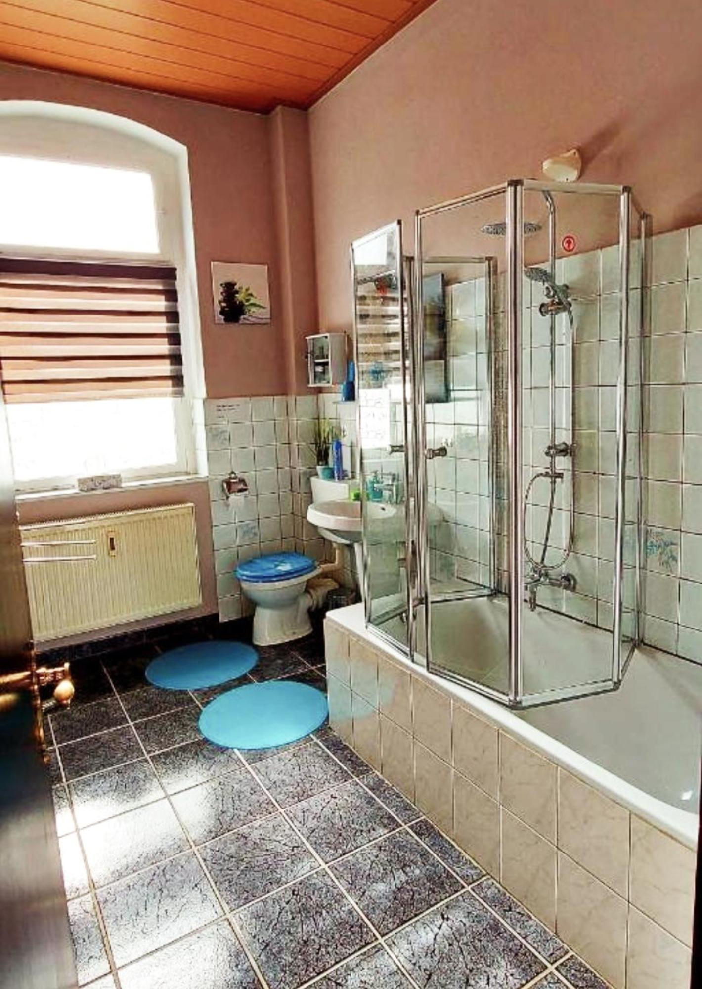 Ferienwohnung "Blick Mylau" - Naehe Freizeitpark Plohn & Weltgroesster Ziegelsteinbruecke Reichenbach im Vogtland Zewnętrze zdjęcie