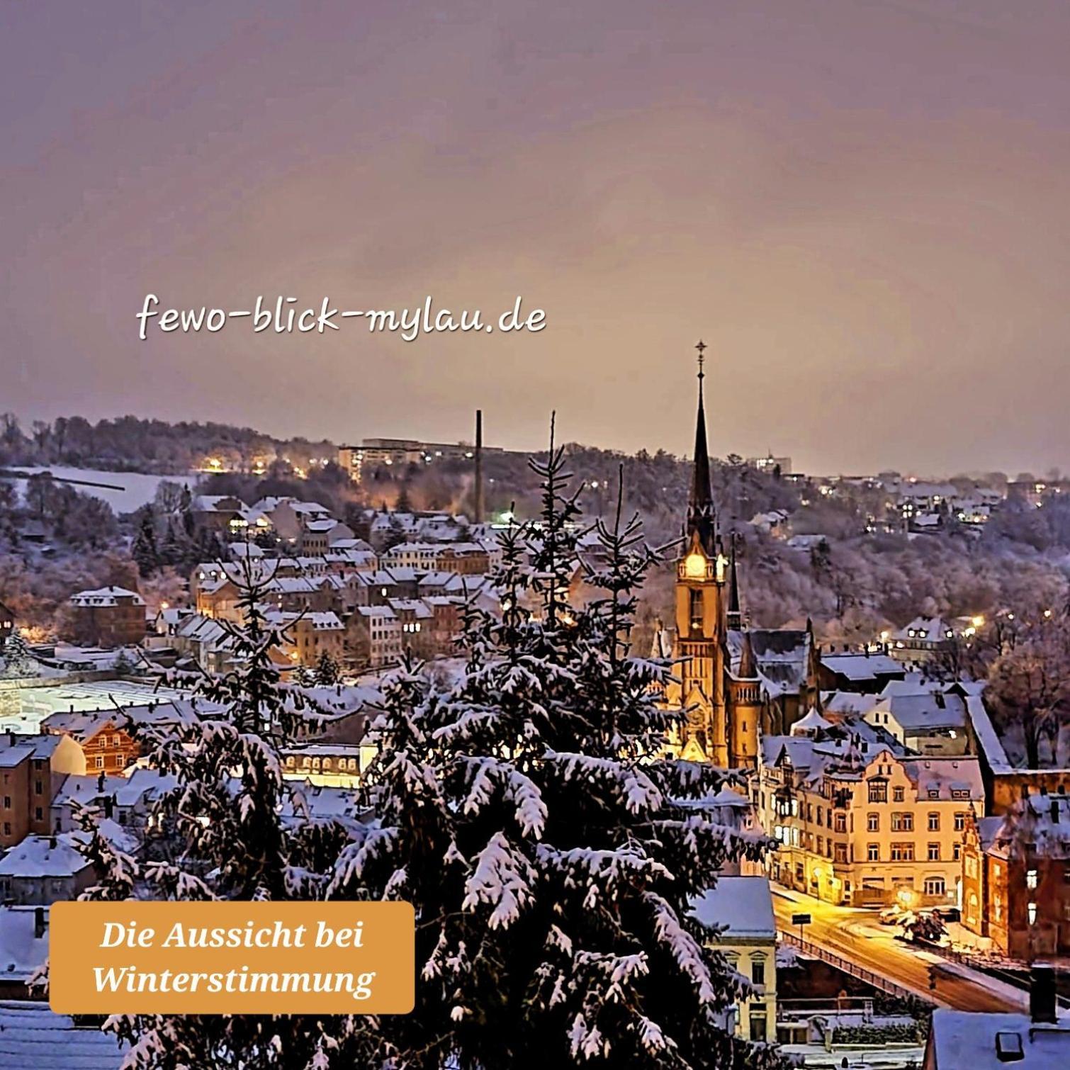 Ferienwohnung "Blick Mylau" - Naehe Freizeitpark Plohn & Weltgroesster Ziegelsteinbruecke Reichenbach im Vogtland Zewnętrze zdjęcie